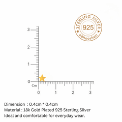 Gold Plated Star Shape Nose Pin with wire in 92.5 Sterling Silver for Women and Girls (Small) - Silver Nose Pin